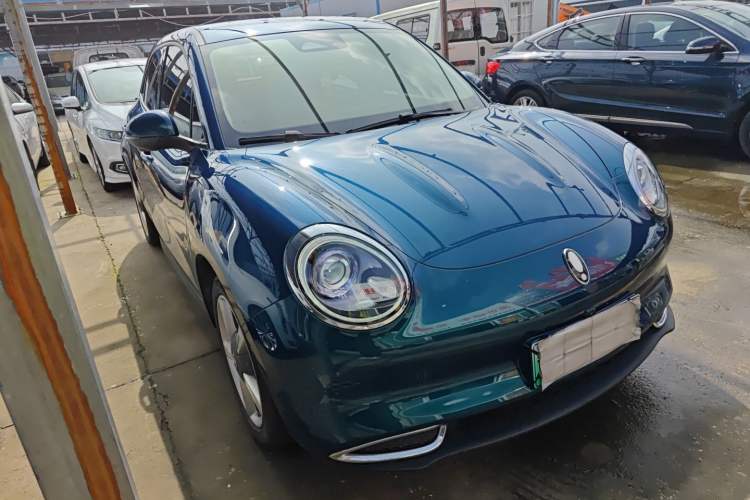 Used ORA Good Cat 2023 401 km Standard Range Luxury Version Ternary Lithium
