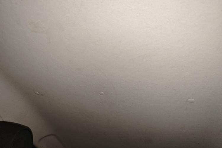 Used Oshan Benni E-Star 2022 National Edition Colorful Limited Edition (Fast-Charging Version) Lithium Iron Phosphate
