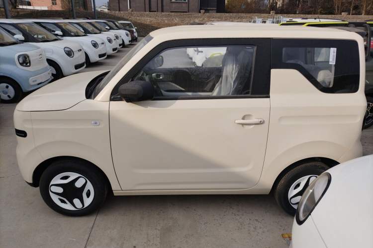 Used  Panda 2025 210 km – Yuanqi Bear