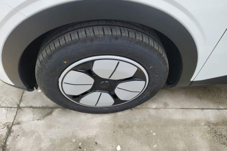 Used  Geome 2025 310km Youth Edition