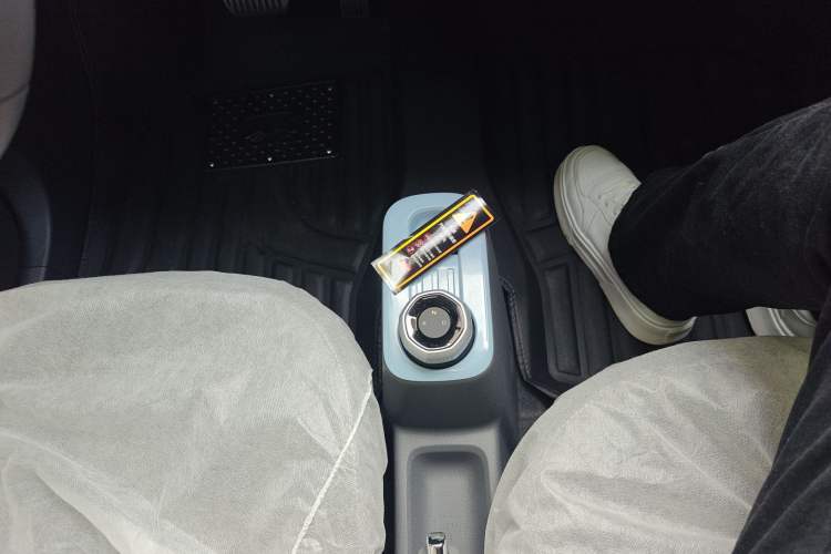 Used  Panda 2024 Panda Mini 200km Endurance Bear
