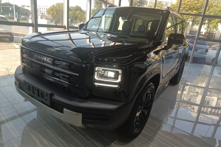Used Haval Raptor New Energy 