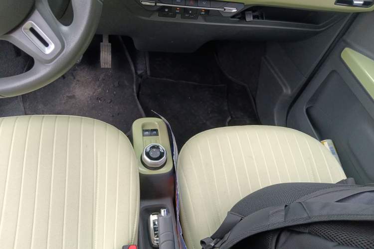 Used  Panda 2023 Panda Mini 200km Dynamic Bear
