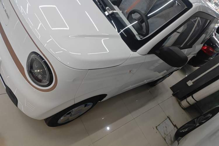 Used  Panda 2024 Panda Mini 200km Endurance Bear