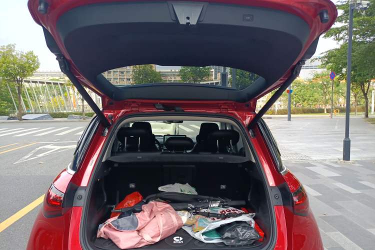 Used  #1 2023 Pro Edition
