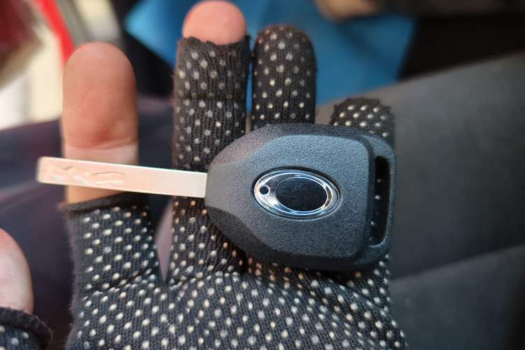 Used ORA Black Cat 2021 301 km Basic Version