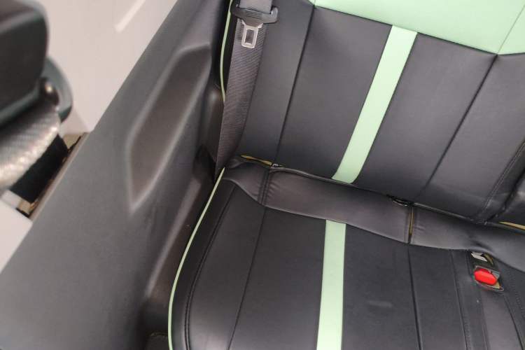 Used  Panda 2023 Panda Mini 200km Endurance Bear
