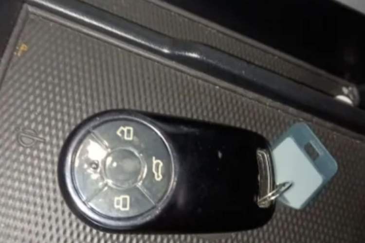 Used ORA Good Cat 2022 Morandi Edition 400km Standard Range Premium Version Lithium-Ion Battery