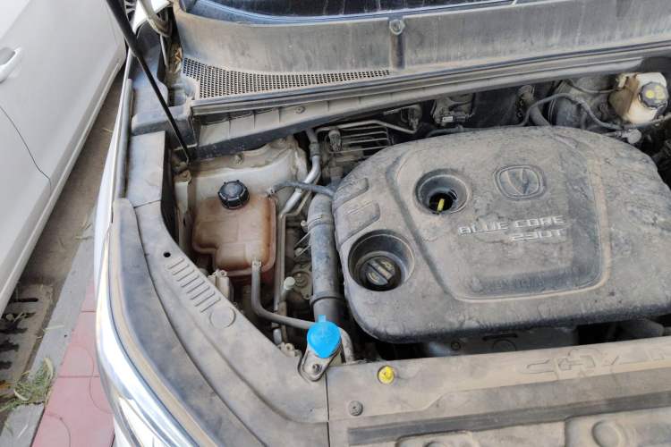 Used Changan CS55 2018 1.5T Automatic Xuan Dong Model China V Standard
