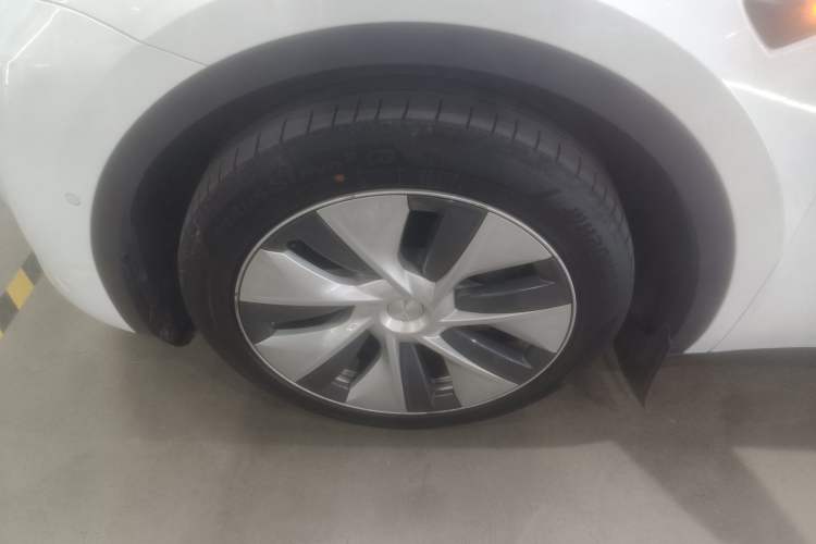 Used Tesla Model Y 2021 Standard Range Rear-Wheel Drive Version
