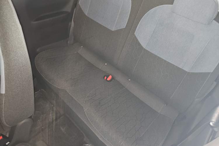 Used  Panda 2024 Panda Mini 200km Endurance Bear
