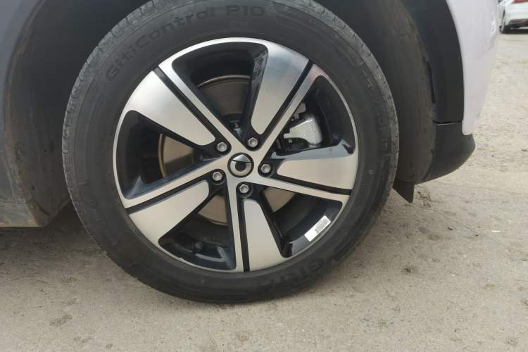 Used  #1 2024 Dynamic Standard Edition