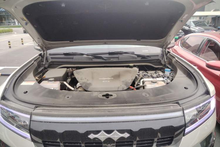 Used  Leopard 8 2025 Smart & Brave Flagship Edition 7 Seats
