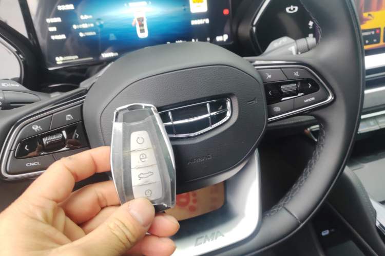 Used Geely Auto Monjaro L 2024 2.0TD High-Power Automatic Two-Wheel Drive Skyline Edition
