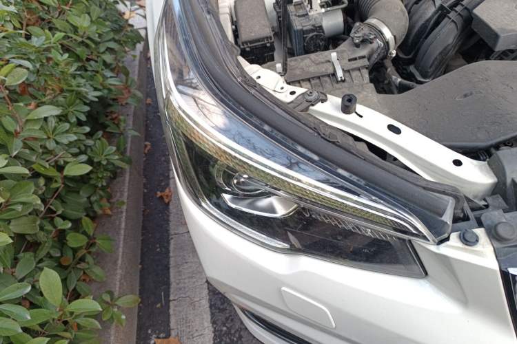 Used Subaru Forester 2019 2.0i Luxury Edition
