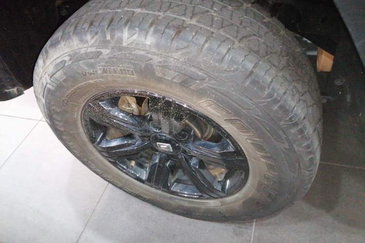 Used Tank 300 2024 2.0T Conqueror