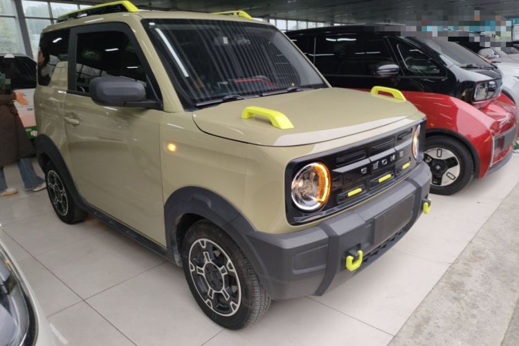 Used  Panda 2024 200km Panda Rider