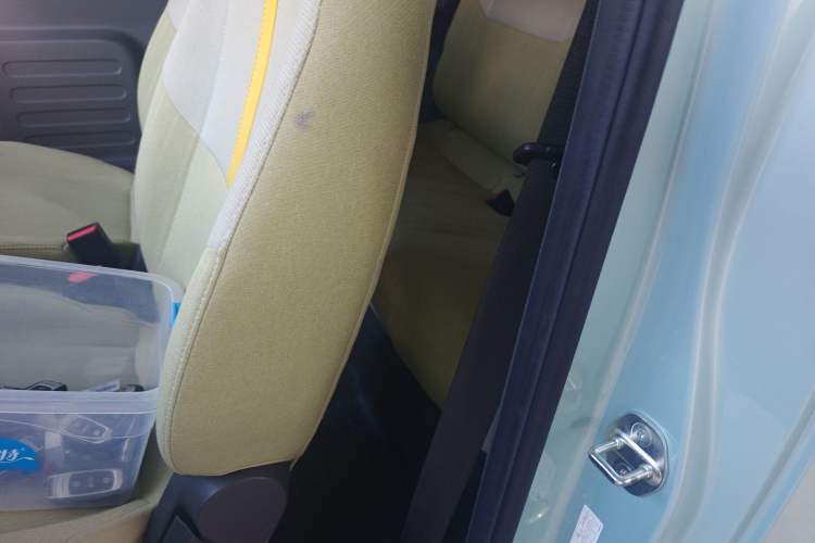 Used  Panda 2024 Panda Mini 200km Endurance Bear
