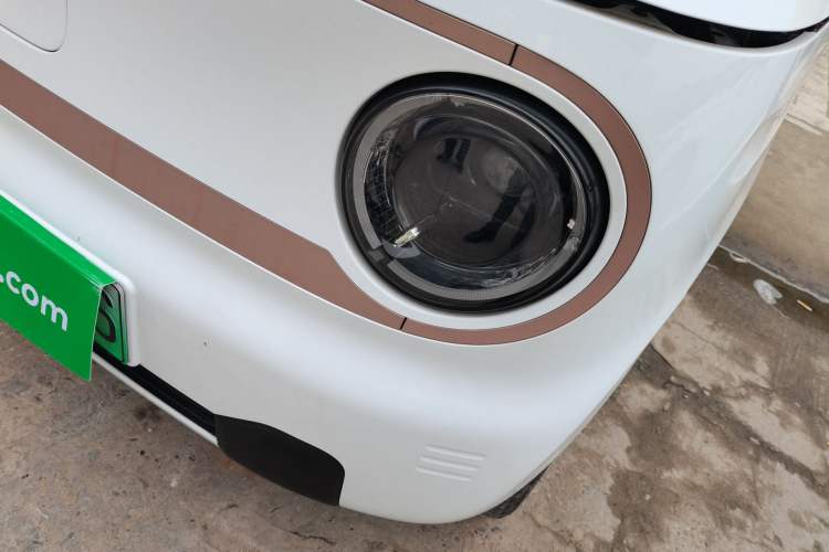 Used  Panda 2024 Panda Mini 200km Endurance Bear