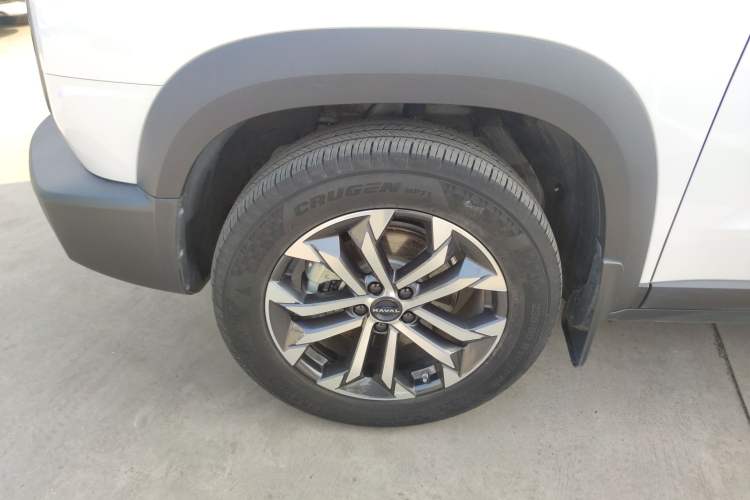 Used Haval DARGO 2024 1.5T DCT Labrador Edition
