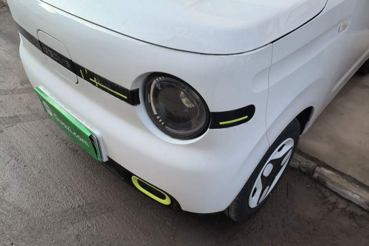 Used  Panda 2025 210 km – Yuanqi Bear
