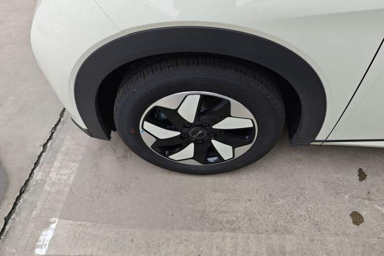 Used BYD Dolphin 2025 420km Free Edition