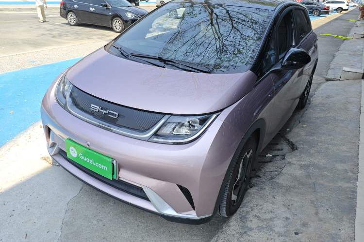 Used BYD Dolphin 2021 405 km Fashion Edition