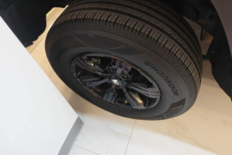 Used Tank 300 2024 2.0T Conqueror