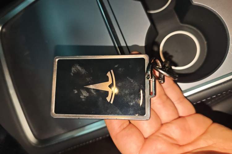 Used Tesla Model Y 2023 Rear-Wheel-Drive Version
