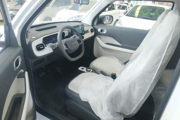 Used  Panda 2025 210 km – Yuanqi Bear
