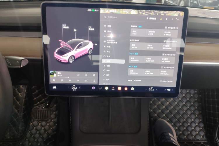 Used Tesla Model Y 2021 Standard Range Rear-Wheel Drive Version
