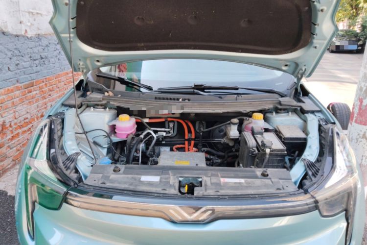 Used NETA U 2022 Zhi400 Pro Lithium Iron Phosphate
