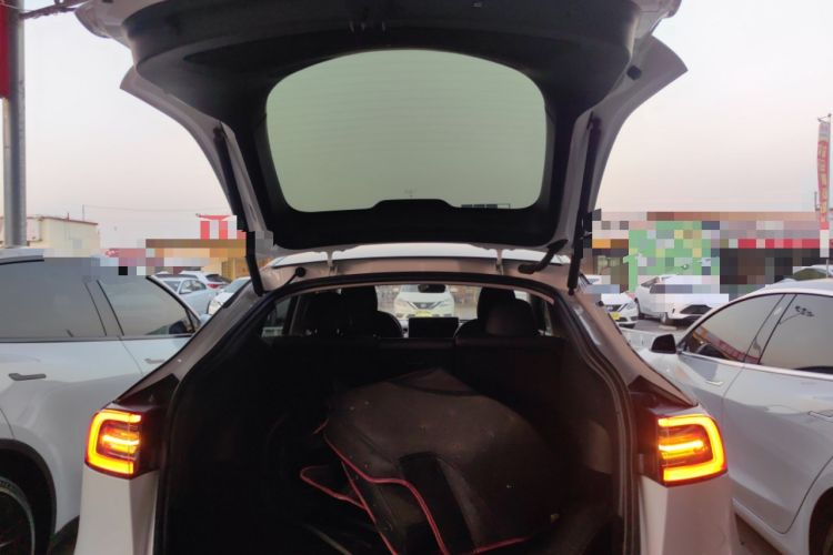 Used Tesla Model Y 2021 Standard Range Rear-Wheel Drive Version