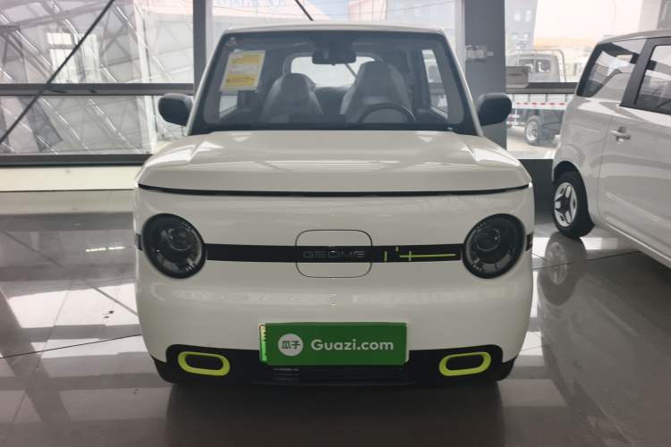 Used  Panda 2025 210 km – Yuanqi Bear
