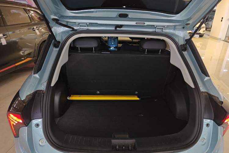 Used NETA V 2021 Long-Range Entertainment Edition Upgrade Model
