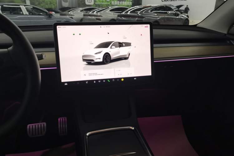 Used Tesla Model Y 2021 Performance High-Performance All-Wheel-Drive Version
