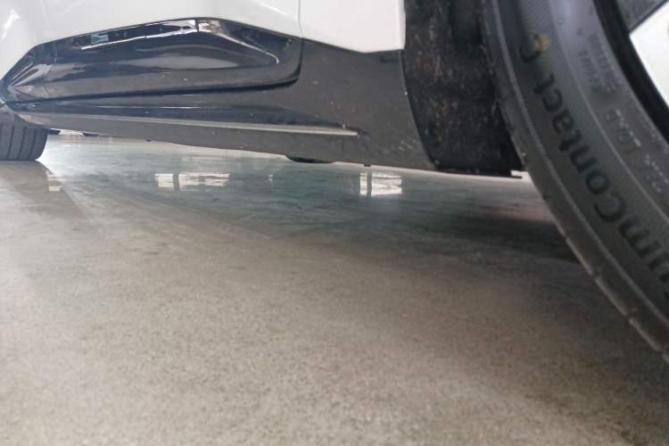 Used  06 2025 Ultra Pure Electric Edition
