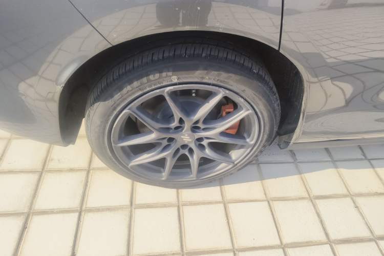 Used  LS6 2023 Max Standard Edition
