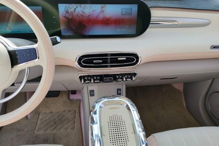 Used ORA Ballet Cat 2023 401 km Luxury Version
