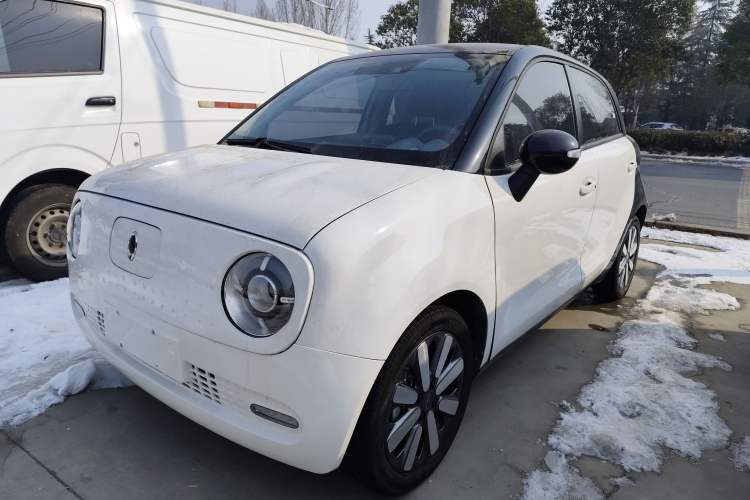 Used ORA Black Cat 2019 351 km Goddess Edition