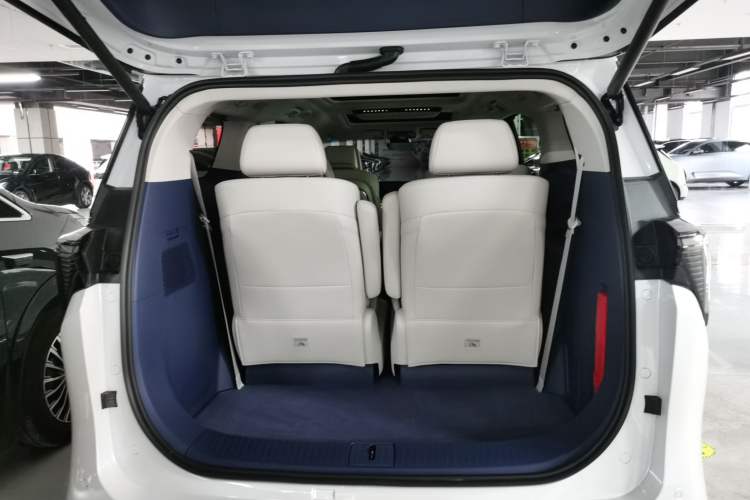 Used Buick GL8 New Energy 2024 Lu Zun Luxury Edition 6-Seater
