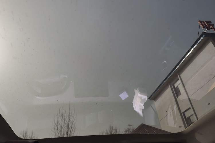 Used firefly firefly 2025 Night Creature Special Edition