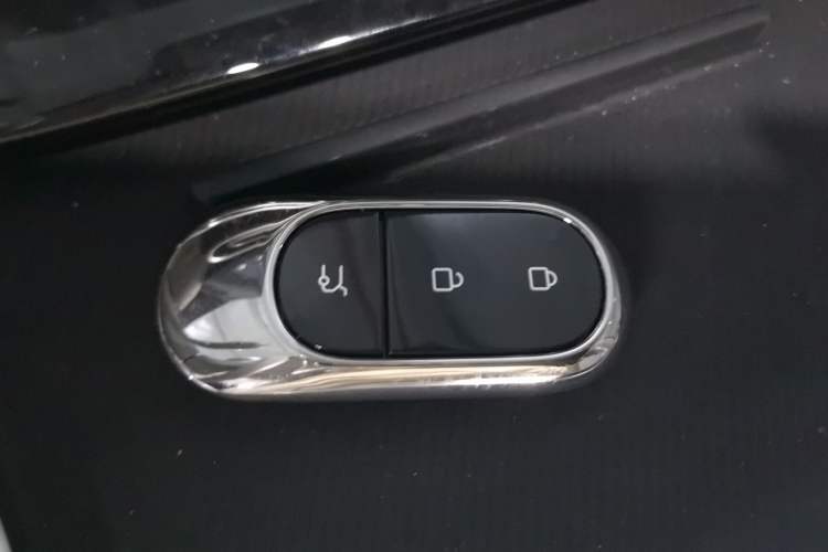 Used Leapmotor C11 2023 Pure Electric 500 Comfort Edition
