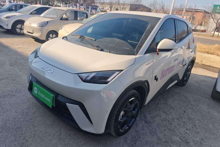 Used BYD Seagull 2025 305 km Free Version