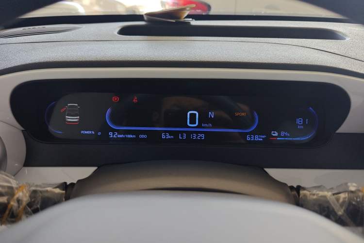 Used  Panda 2025 210 km – Yuanqi Bear