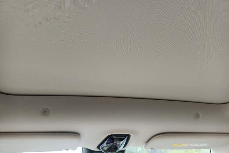 Used  LS6 2026 Model Range-Extending 52 Max