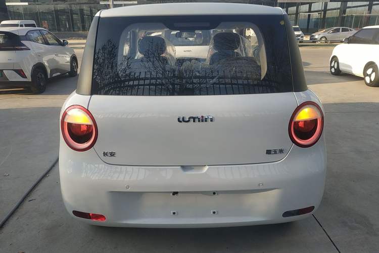 Used  Lumin 2025 205 km Xiangqin Version