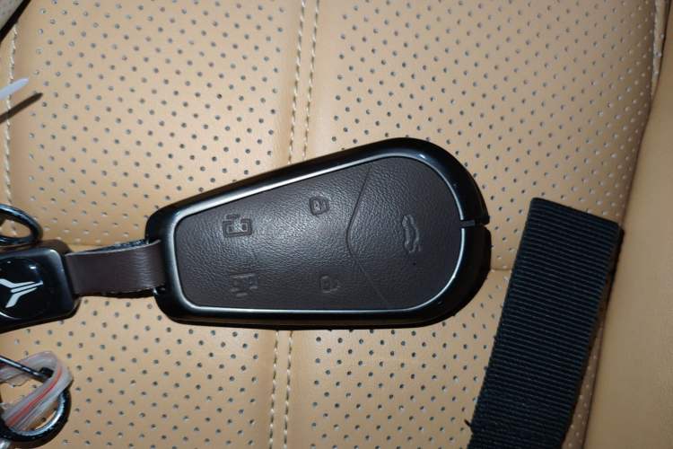 Used VOYAH Dream 2025 PHEV Four-Wheel-Drive Flagship Version – Qiankun Edition
