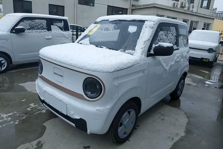Used  Panda 2024 Panda Mini 200km Endurance Bear
