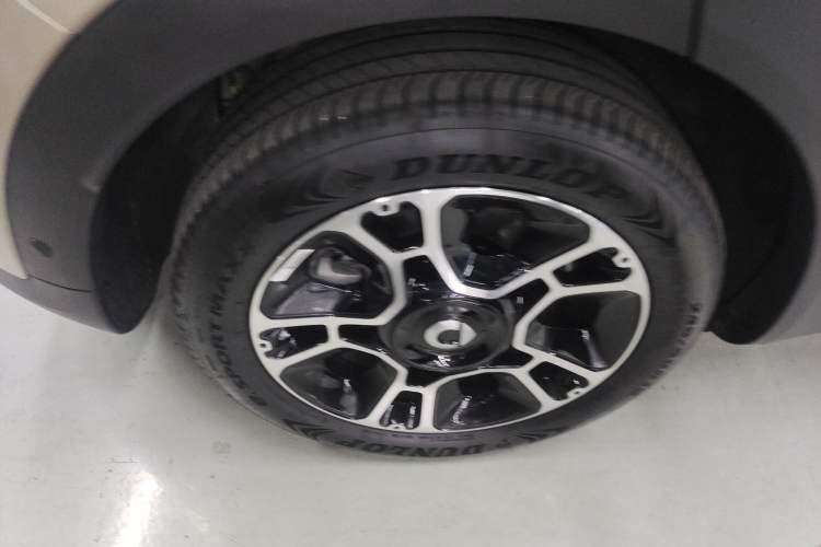 Used  #5 2025 Ultra-Long Range Luxury Four-Wheel Drive Edition